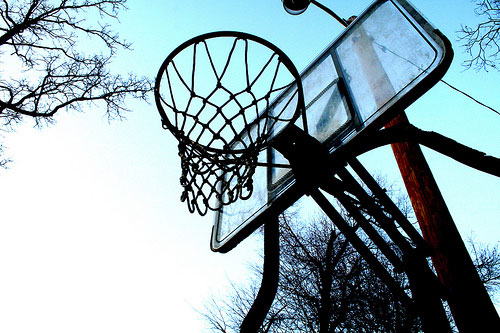 hoop Ankle Injuries   How to Avoid Spraining Ligaments and Tendons in Your Foot